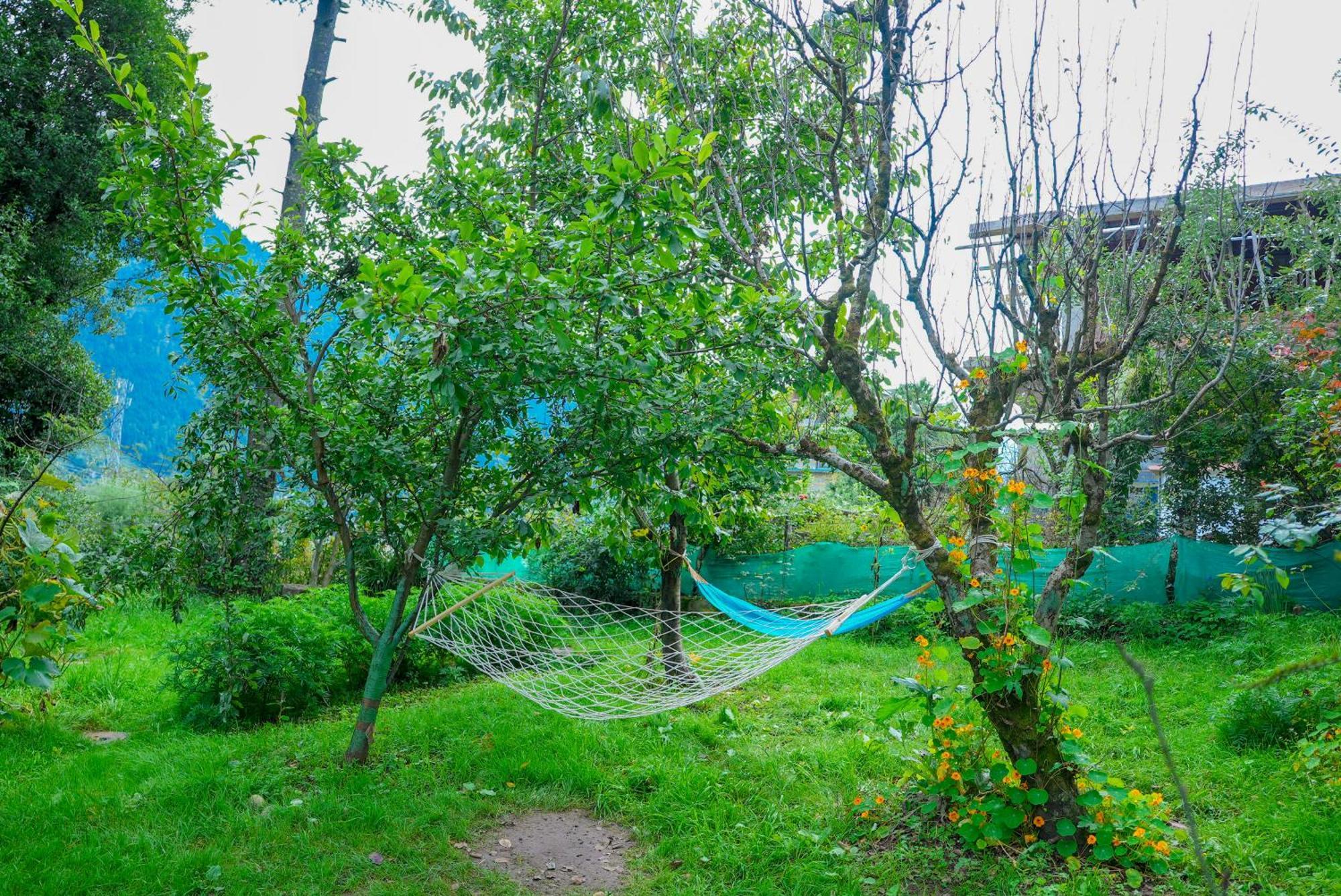 Nature Valley View Resort Manali 2 Bedrooms Luxury Cottages And Valley View 외부 사진